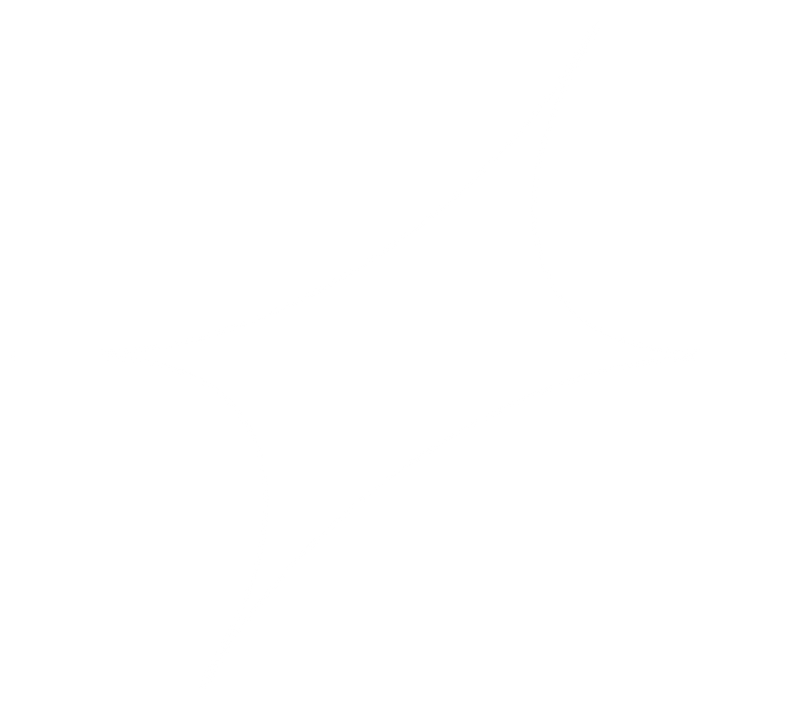 NOIESTUDIO